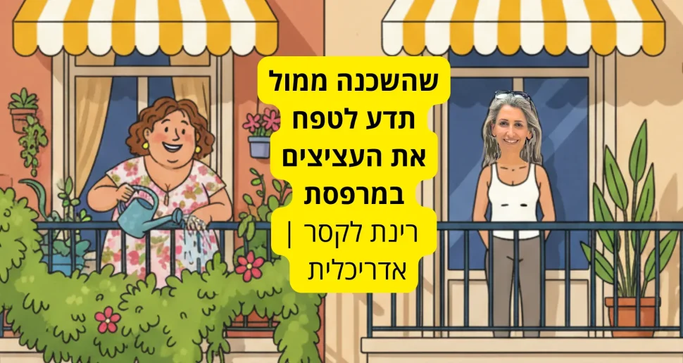לוודא שלשכן אין פינצ'ר, לבדוק שאתם בטווח של וולט: הטיפים שלכם לקניית דירה - גלרייה - תמונה 4