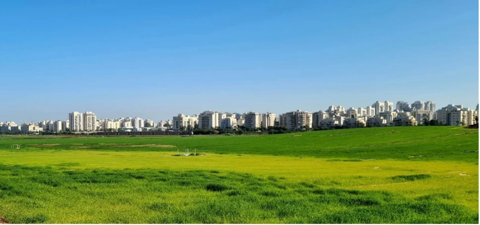 שלפנו מצלמה, תראו מה יצא - גלרייה - תמונה 2