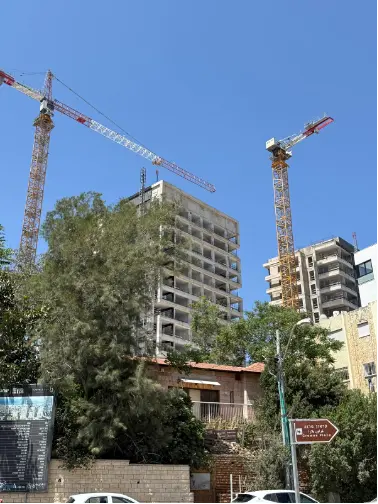 שלפנו מצלמה, תראו מה יצא - גלרייה - תמונה 1