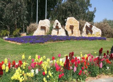 אושרה תוכנית התחדשות עירונית רחבת היקף ביישוב אזור - דוניץ אלעד